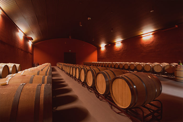 Wine tourism getaway in Cebreros - winery visit, wine tasting and accommodation